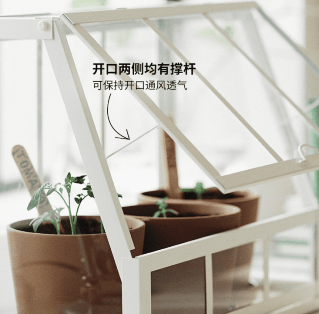 宜家新品：可以放在桌面上的阿克巴植物温室 - 宜家, 家居, 新品, 植物, 盆栽, 设计