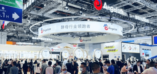 安琪酵母参展2023中国国际焙烤展览会，发布5大新品， - LEGO, 乐高, 积木, 雅马哈