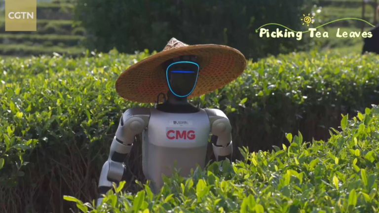 人形机器人走进福建茶园,茶叶采摘成为具身智能试金石 4 China’s Humanoid Robots Become Tea Farmers