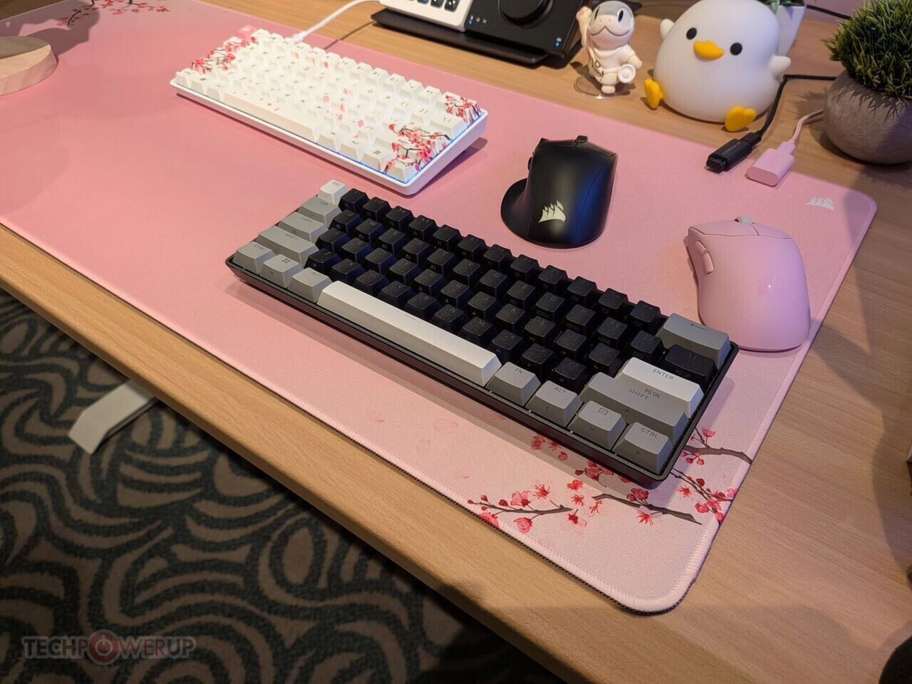 海盗船Nightsword