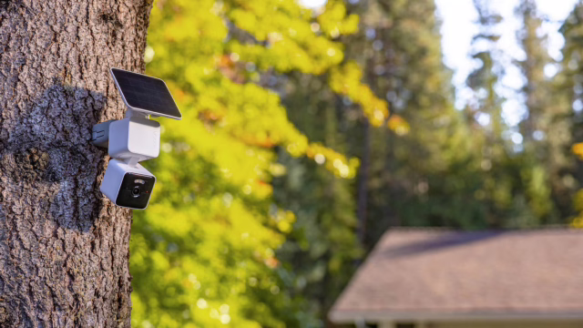 Wyze recalls over 320,000 security cameras due to fire and explosion hazards