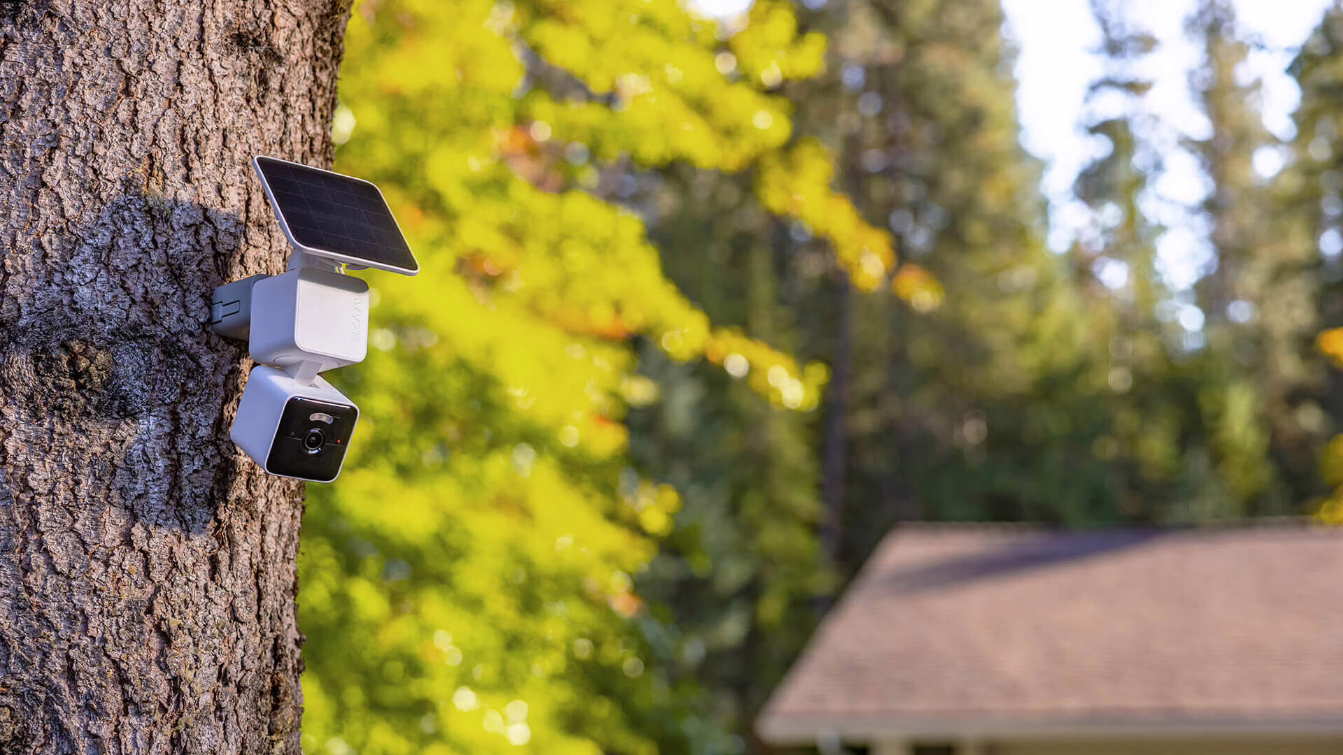 Wyze Solar Cam Pan 太阳能安防摄像头召回